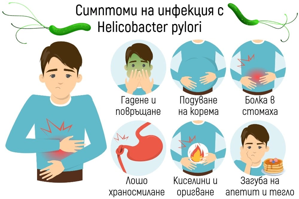     Helicobacter pylori