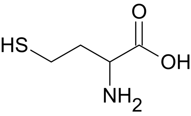 Какво представлява хомоцистеин? Какво представлява хомоцистеин?