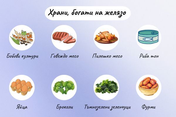 Желязото се набавя основно чрез храната Храни, богати на желязо