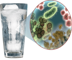 ice-water-with-germs
