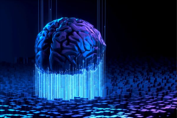 Задачата на моделите на изкуствения интелект е да открият модели на биологията на тумора. мозък