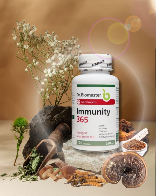 �������� 365