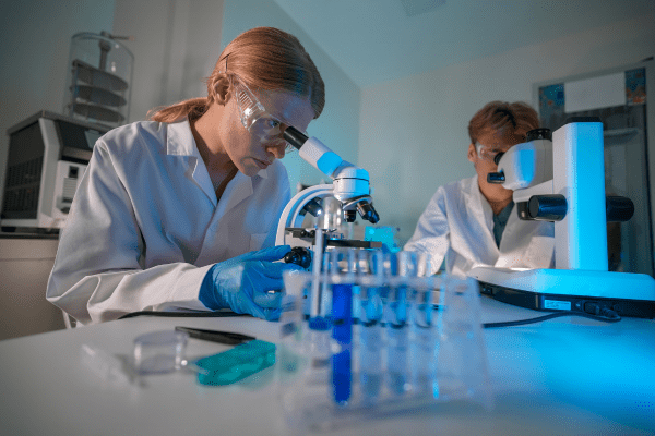 ���� ���� ����, ����� ������ � ���������