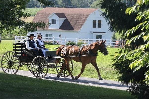 Жените амиши не могат да се прегръщат с партньорите си
