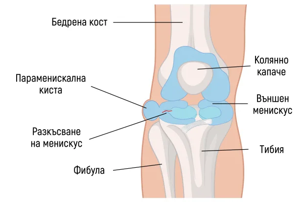 �������������� �����