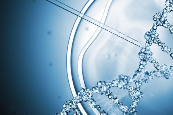 �������� ���������������