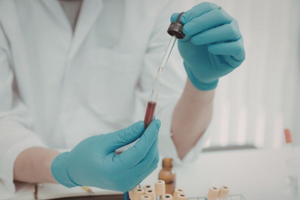 ������ �����