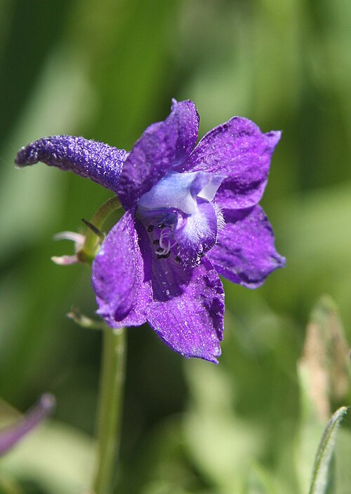 ��������� ������