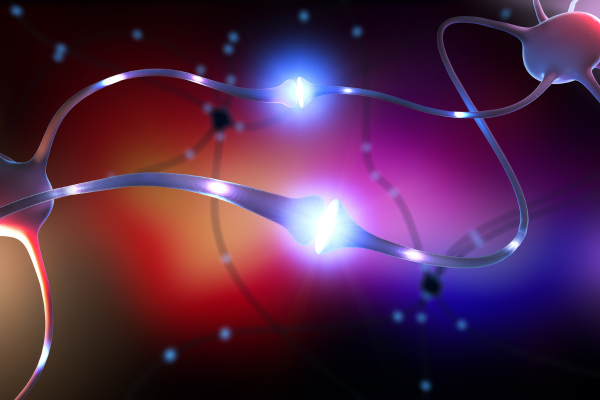 �������� ����������� �� �������