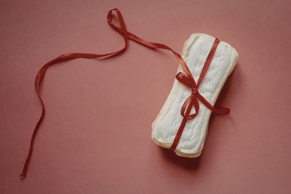 ������ ���������