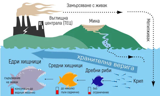 ������ �� �������� � ����������� � �����