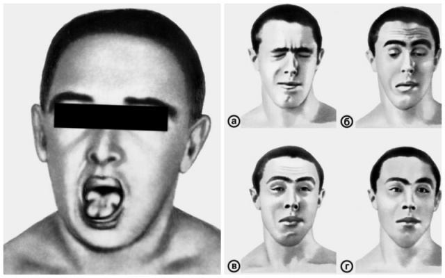 ������ �� �������� ������ ��� ��������