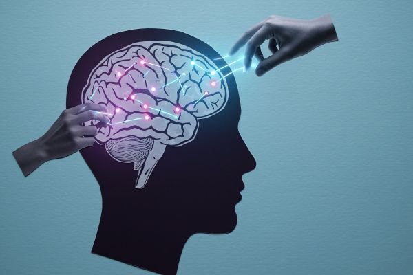 Предизвикателствата подпомагат развитието на мозъка Невронни мрежи