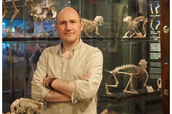 �-� �������� ������