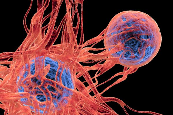 ���������� -���