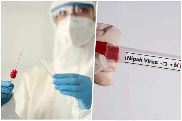 �������� �� ����