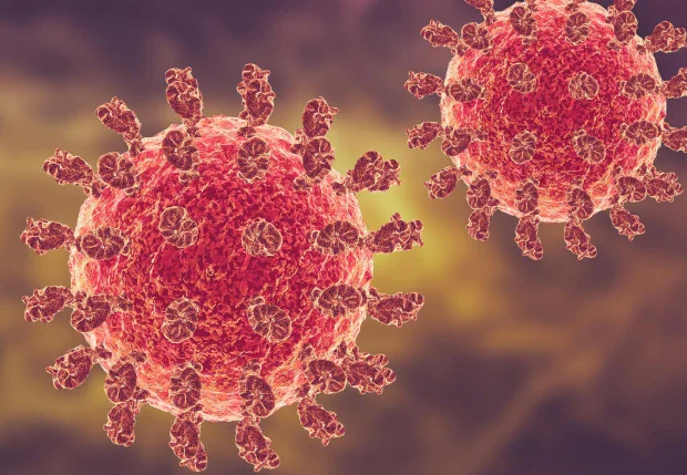 ����� ����