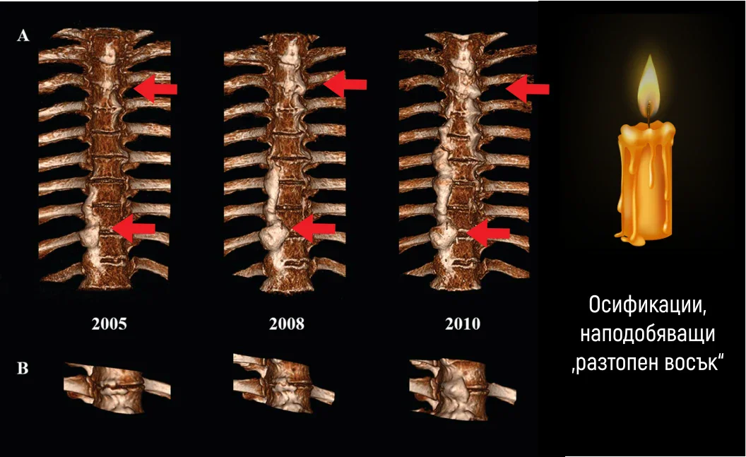 3D ������������� �� ����������� � ������� �� �������
