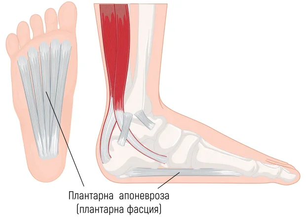 �������� �� ����������� ���������� 