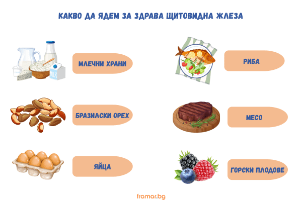 Полезни за работата на щитовидната жлеза са морските деликатеси, месото, рибата, яйцата и млечните продукти инфографика с храни, полезни за щитовидната жлеза като риба и яйца