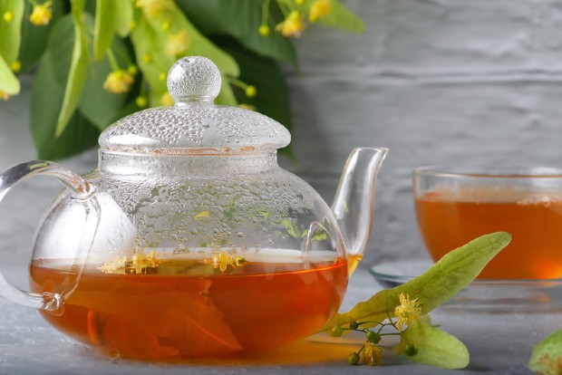 Полезни билки при простудни заболявания Полезни билки при простудни заболявания