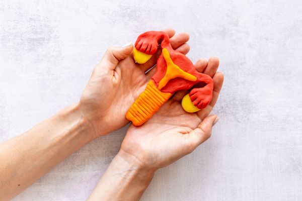 Съществува връзка между излагането на бисфенол А и синдрома на поликистозните яйчници синдром на поликистозните яйчници