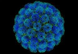    - Poliovirus