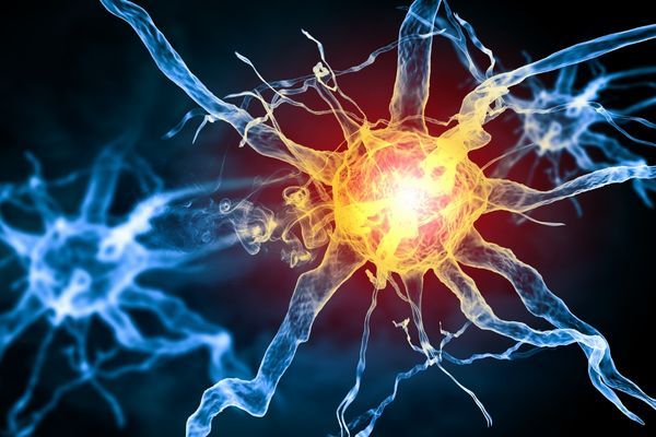 ���������� �� ������ ������