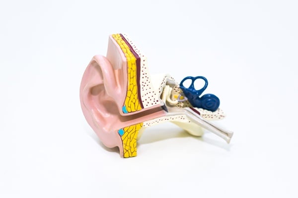 Причини за намаляване на слуха