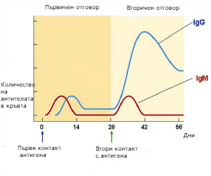 primary-vs