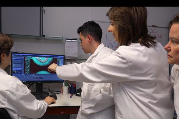 ����. ��������� � ������ �