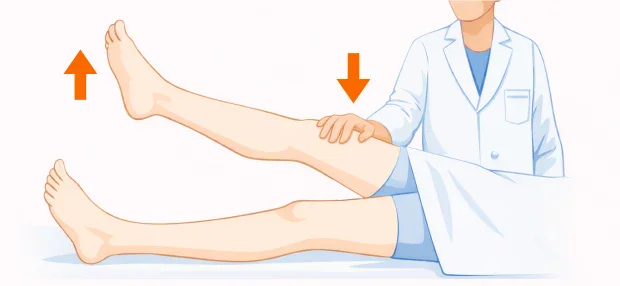 ����� ������� - ������� �� ����� ���