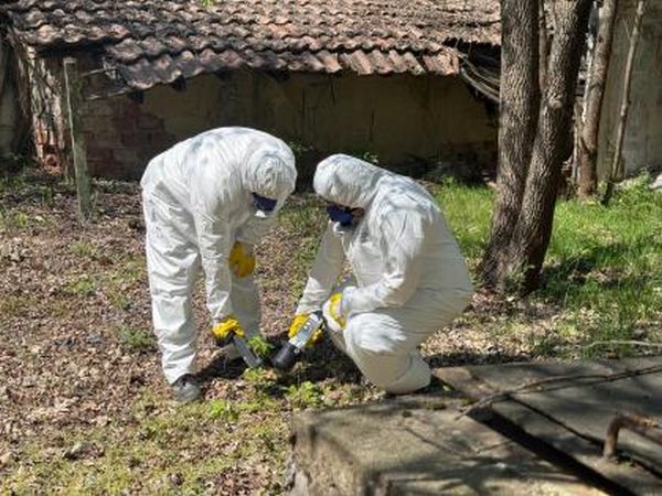 ����������� ����������