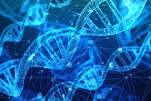 Учените узаконяват кръвен тест, базиран на изкуствен интелект, който открива рак на черния дроб в начален стадий. ДНК