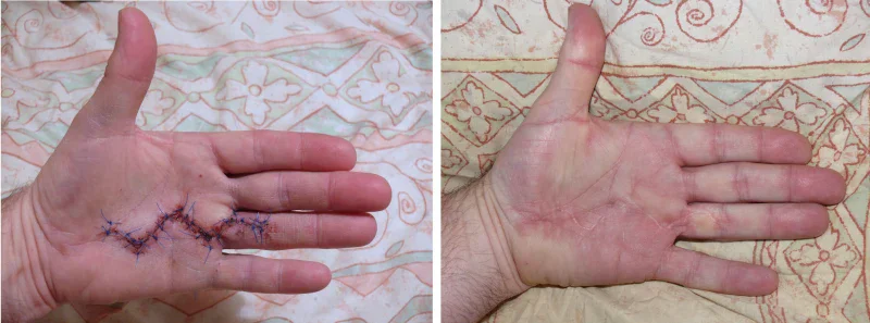 ���� ���� �������� �� ������ �� ���������