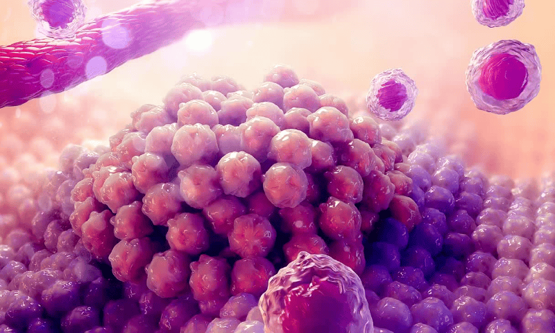 ���������� ��������� �� ������ �����������