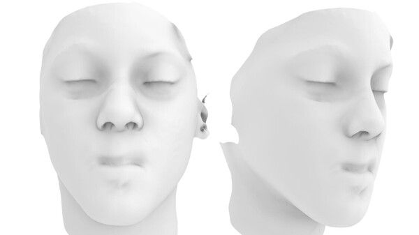 3D     