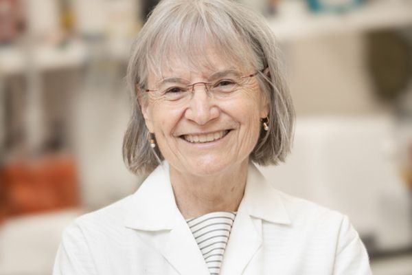 ����.��������� ����� �����