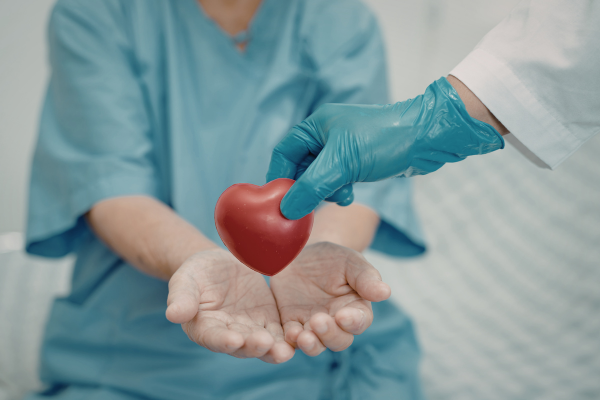 ������� ���� � ��������, ����� ����� ������� ������ �����