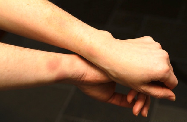 ������ ��� ������� ����������