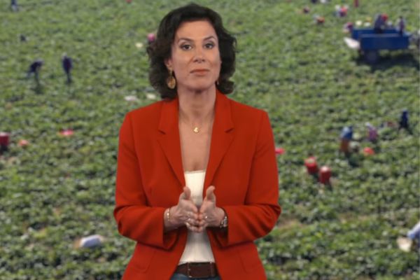 ����� ���