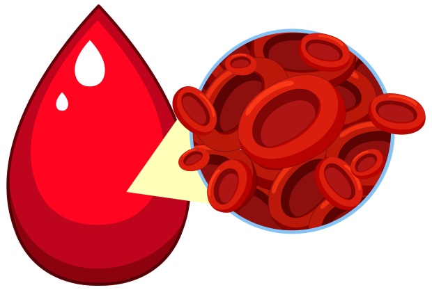 Снимка на еритроцити Снимка на еритроцити