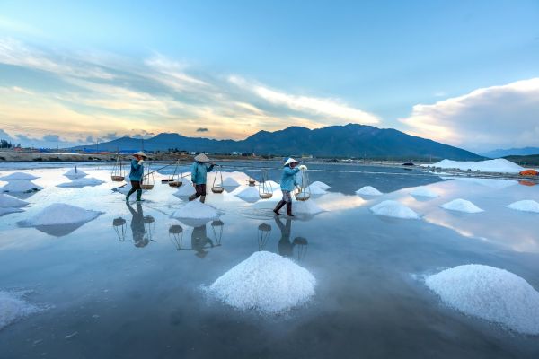 Има различни видове сол, като най-разпространената и употребявана е йодираната готварска сол солник, хора събират сол и я носят в кошници