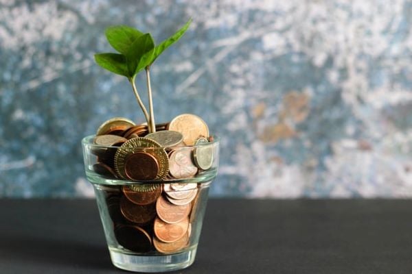 чаша с монети и растение