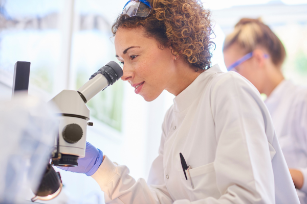 ���� ���� � ������� ����, ����� ����� ���� ���������