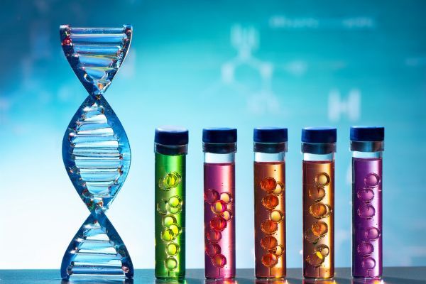 ����� �������