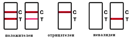 Резултати от теста.