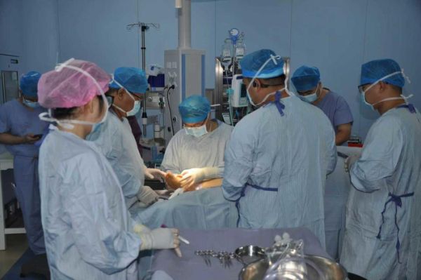 10 часа продължава операцията, при която присаждат откъснатото ухо на Сун върху крака й. трансплантация върху крак