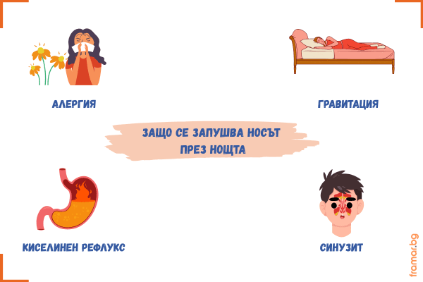 Най-често носът се запушва през нощта заради алергия или възпаление на синусите инфографика с причини за запушване на носа