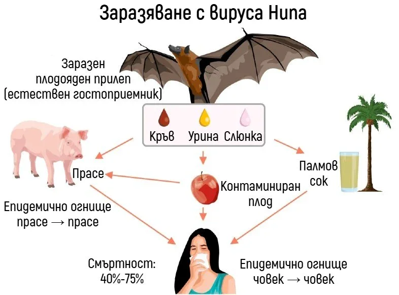 ���������� � ����